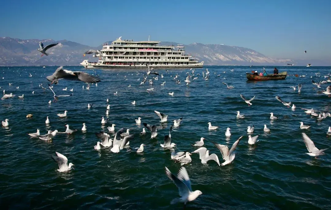 19dfe63ca27071b62266e639fb37f954-sz_1380902