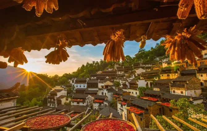 1a132e0b48c6dbc9d1fc2f331d3030af-sz_800910 1a132e0b48c6dbc9d1fc2f331d3030af-sz_800910