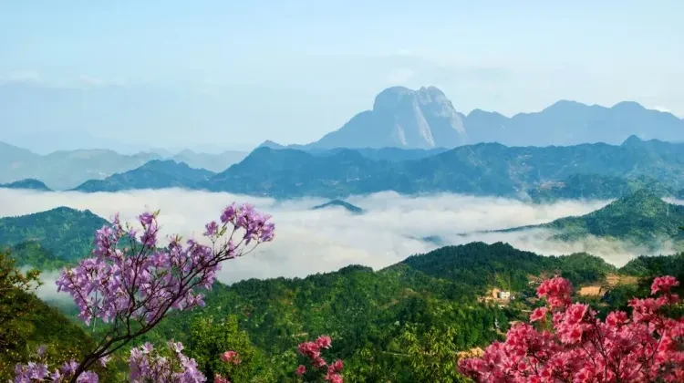 1a25dffe326c8577d04859041299092a-sz_116746