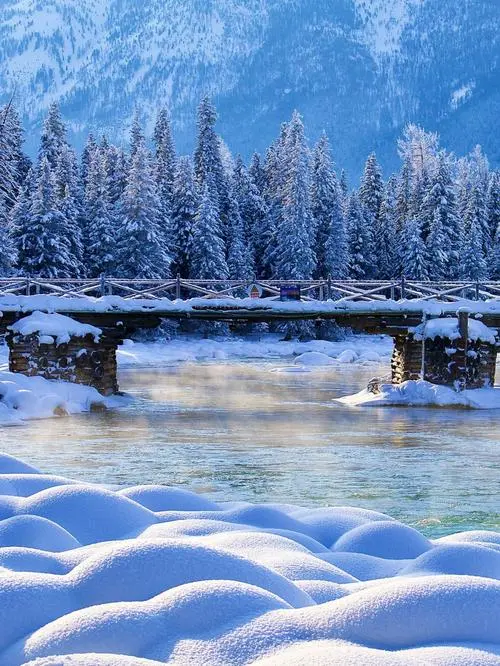 1a3457671868ad320d974820eb67ba8f-sz_92335