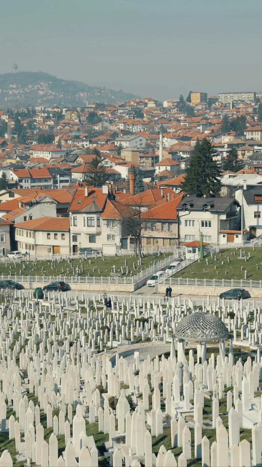 1a7ea8f45f8867d978ad86e6a762c67c-sz_573783