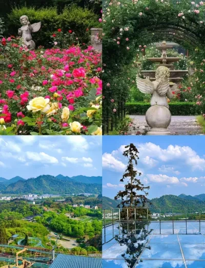 1aae27868187eca51c12def03202423f-sz_566423