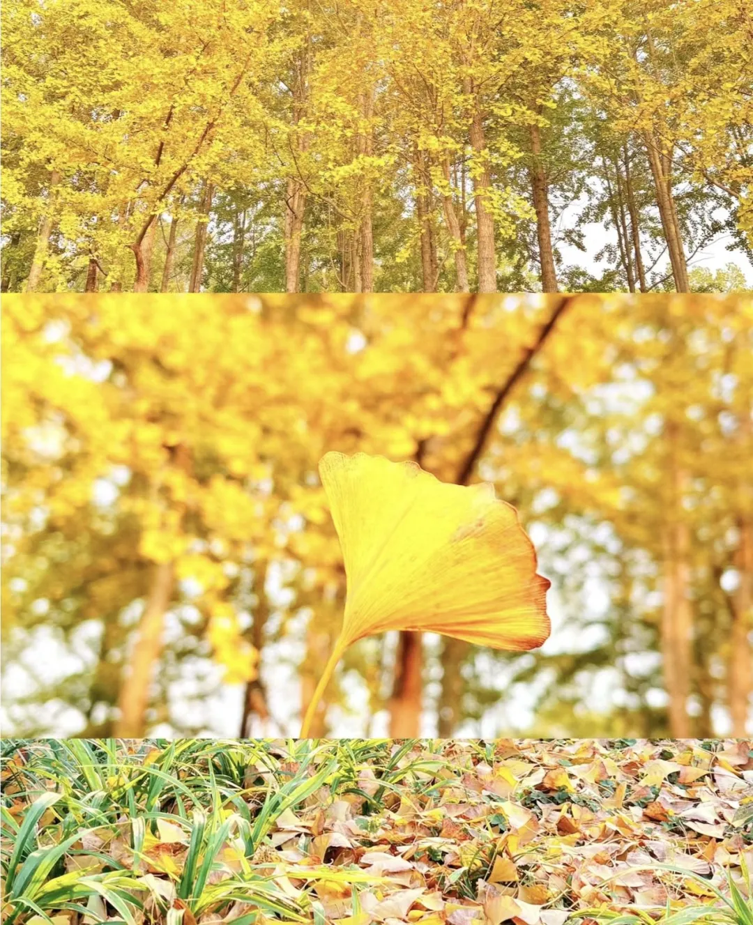 1ab9c6e885521113225e47660350e59b-sz_621654