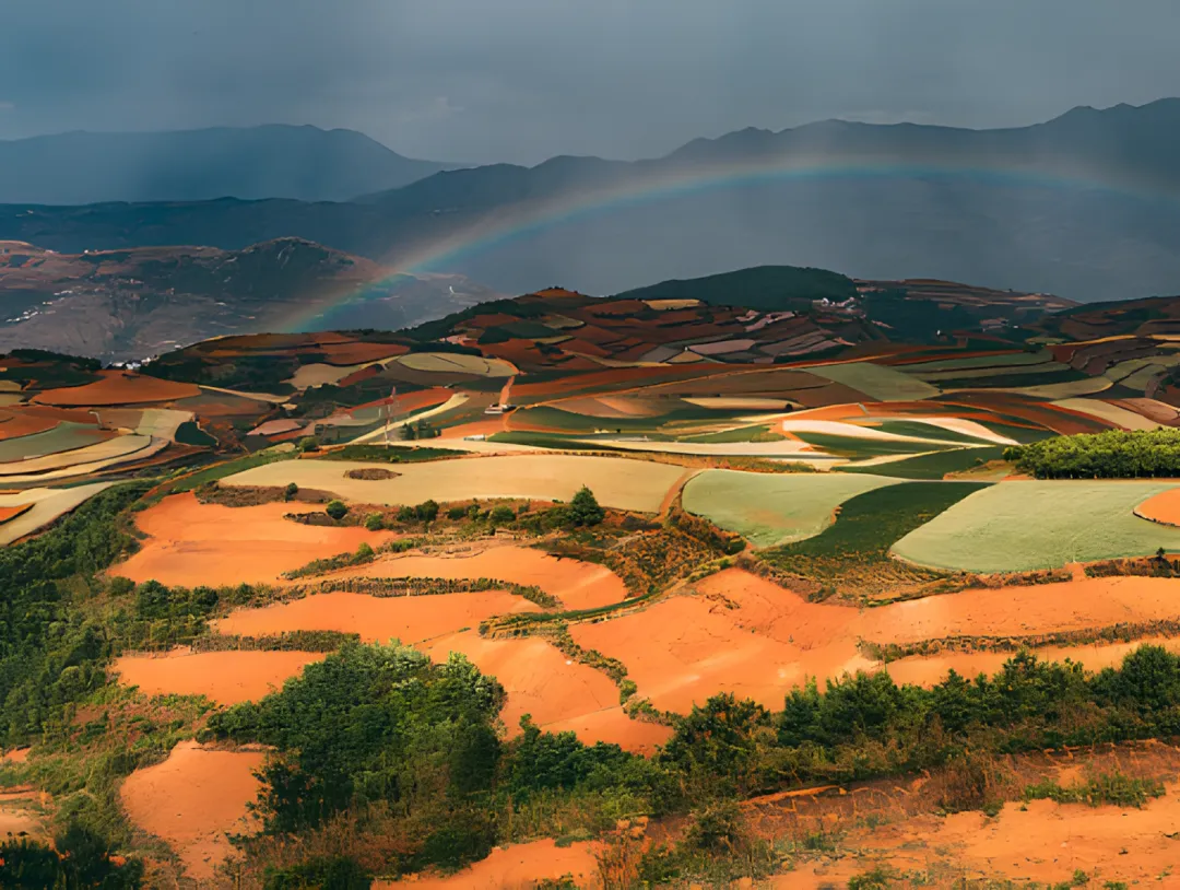 1af54c94359a8f1533f4acaf14180b23-sz_2892844