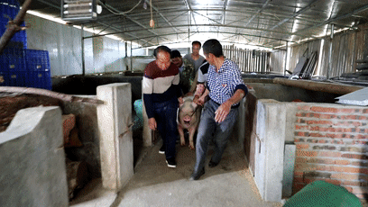 1b02b014085c5617f3a087c9a31b159a-sz_1291320