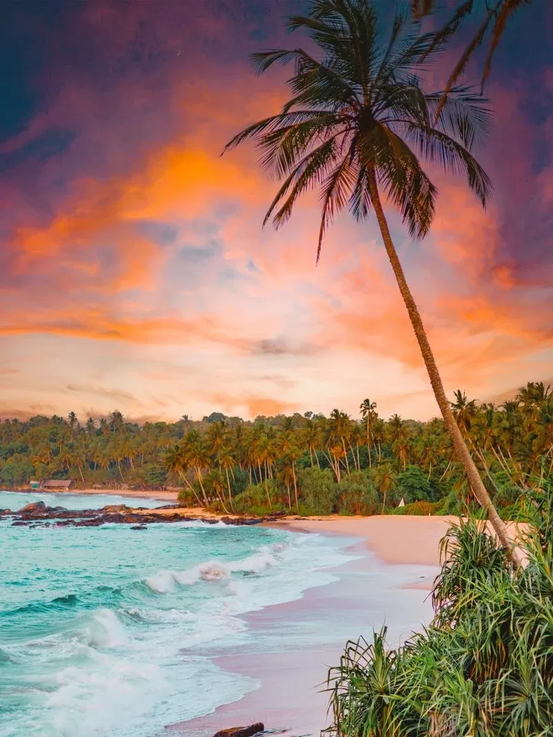 1b031ea8a1df29f12cc5164f152b6bba-sz_273256