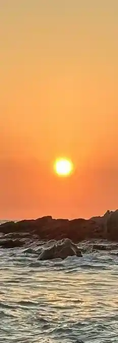 1b32091bbf0a4ead9eb00d2586181a50-1