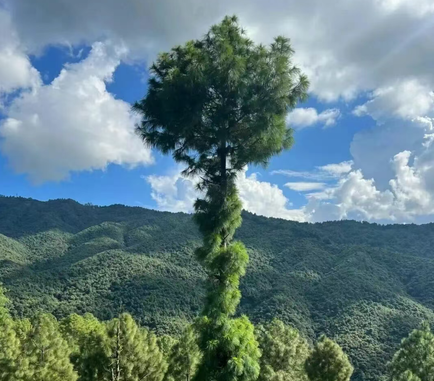 1b590017b93ed8f5450a803e93b444e9