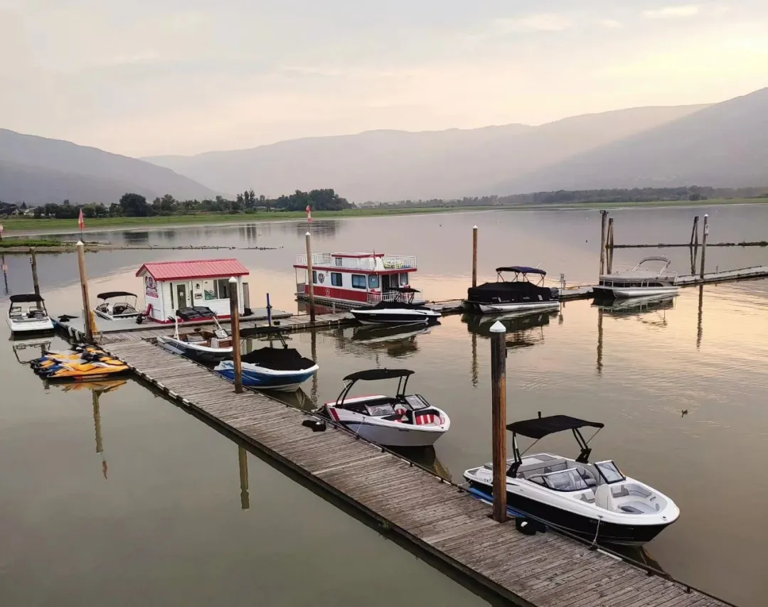 1baa4b091cf681a6ca1da8ad04156850-sz_164769-1