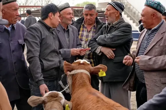 1bf50241a46d274990eff85349f3d4da-sz_557732