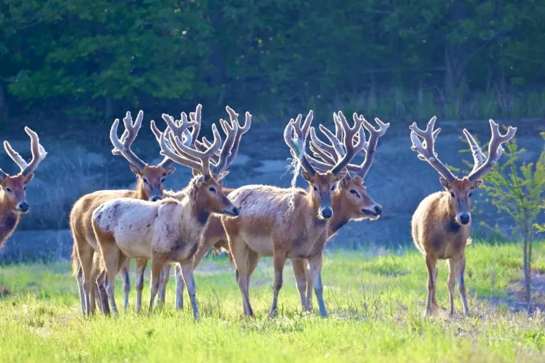 1bf67d91a26ee8804207afdcba9b9265-sz_270882