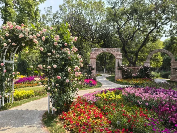 1c195a4bad24ed399cf8fa3e80962f9a-sz_4329062