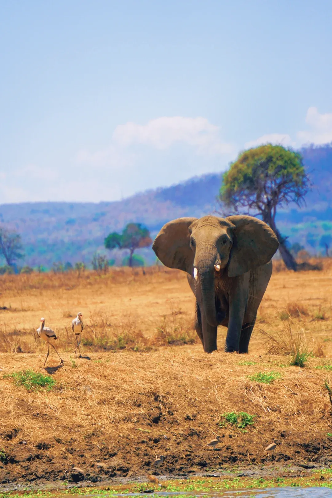 1c3c66cb04a13571d341c5dcb5daf349-sz_2188379-1