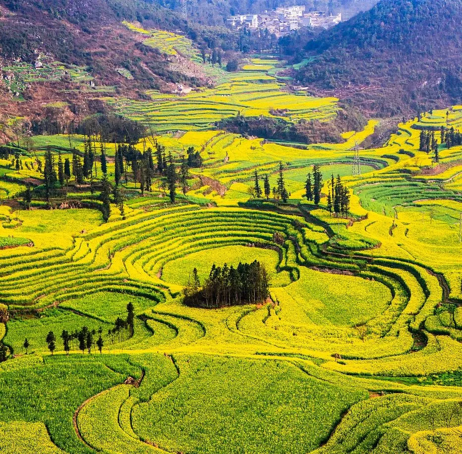 1c59f1eba6378070c7d4fa4a19c21167-sz_388308-2