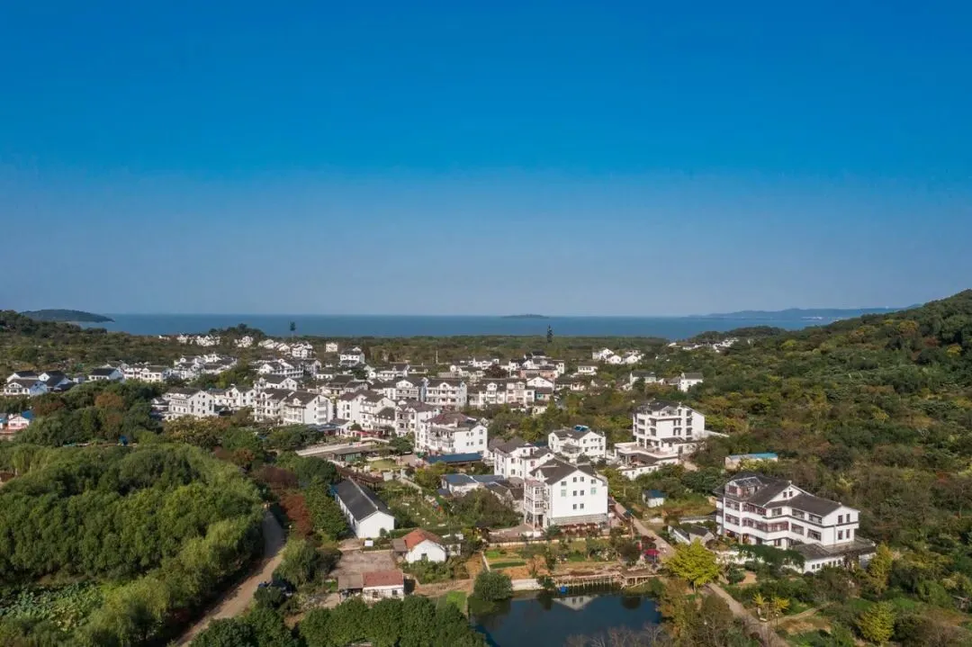 1c6c23a2b89c6e6af9ddd5319792891a-sz_117060