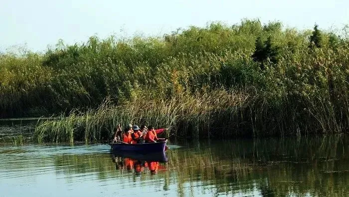 1c74ce2e28ca1600b1da8d5ec2ceaee4-sz_81120