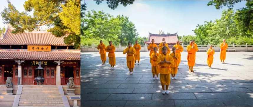 1ca022169479435dfd98c97230ad0748-sz_1248272