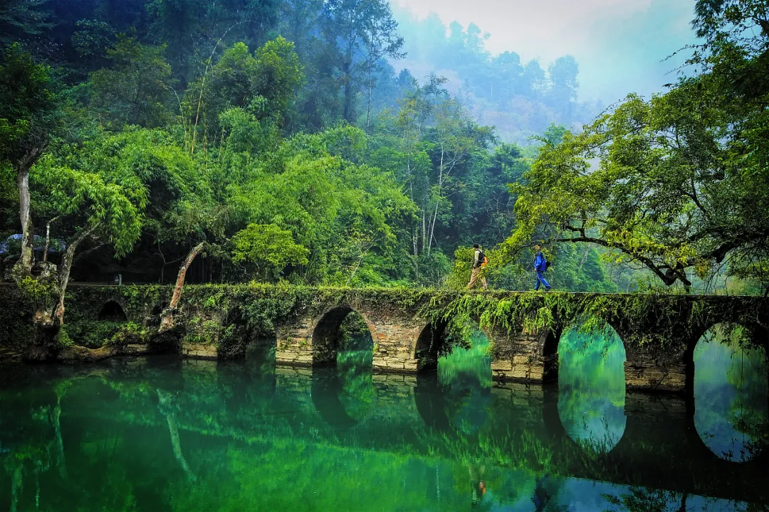 1d1d62b2165ad58fefb7f649d4193f5d-sz_1008699