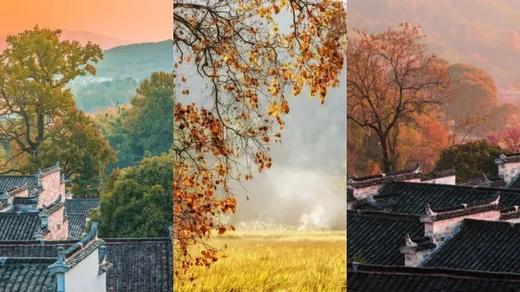 1d53ce04a92cd6e6c3b0c2ab5645b355-sz_173459 1d53ce04a92cd6e6c3b0c2ab5645b355-sz_173459