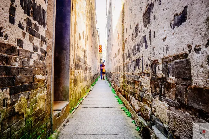 1d6303c3a736bf2dee77fd5df37cf7c9-sz_906491-1