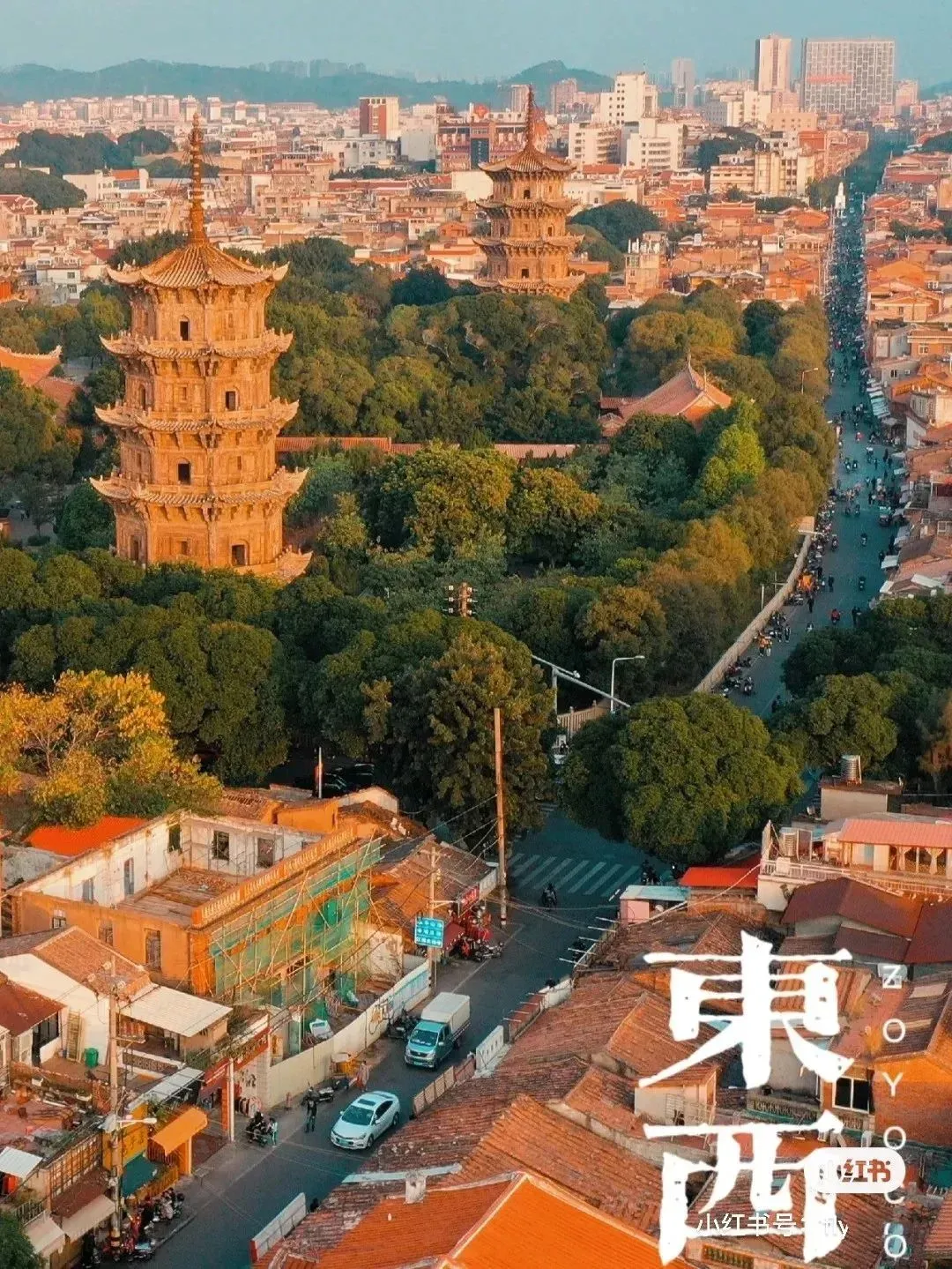 1d6a873d930dd4d876c07b3a50cae088-sz_393558-1