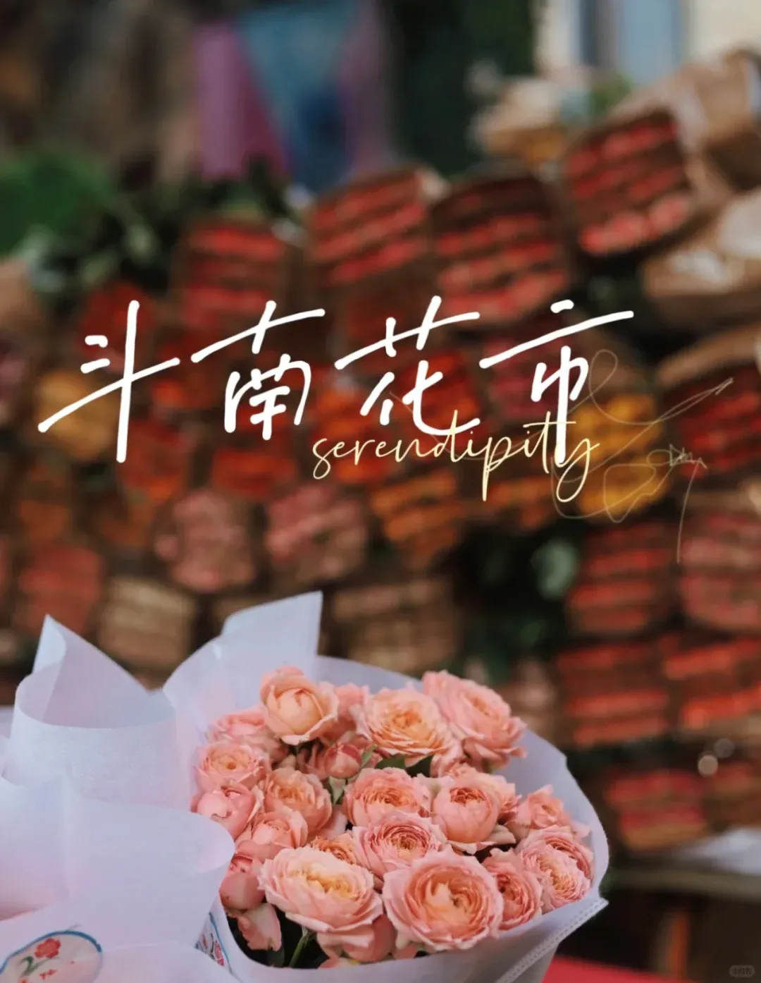 1d6dd48e116ea8c88711d6112d2c46ba-sz_2133310