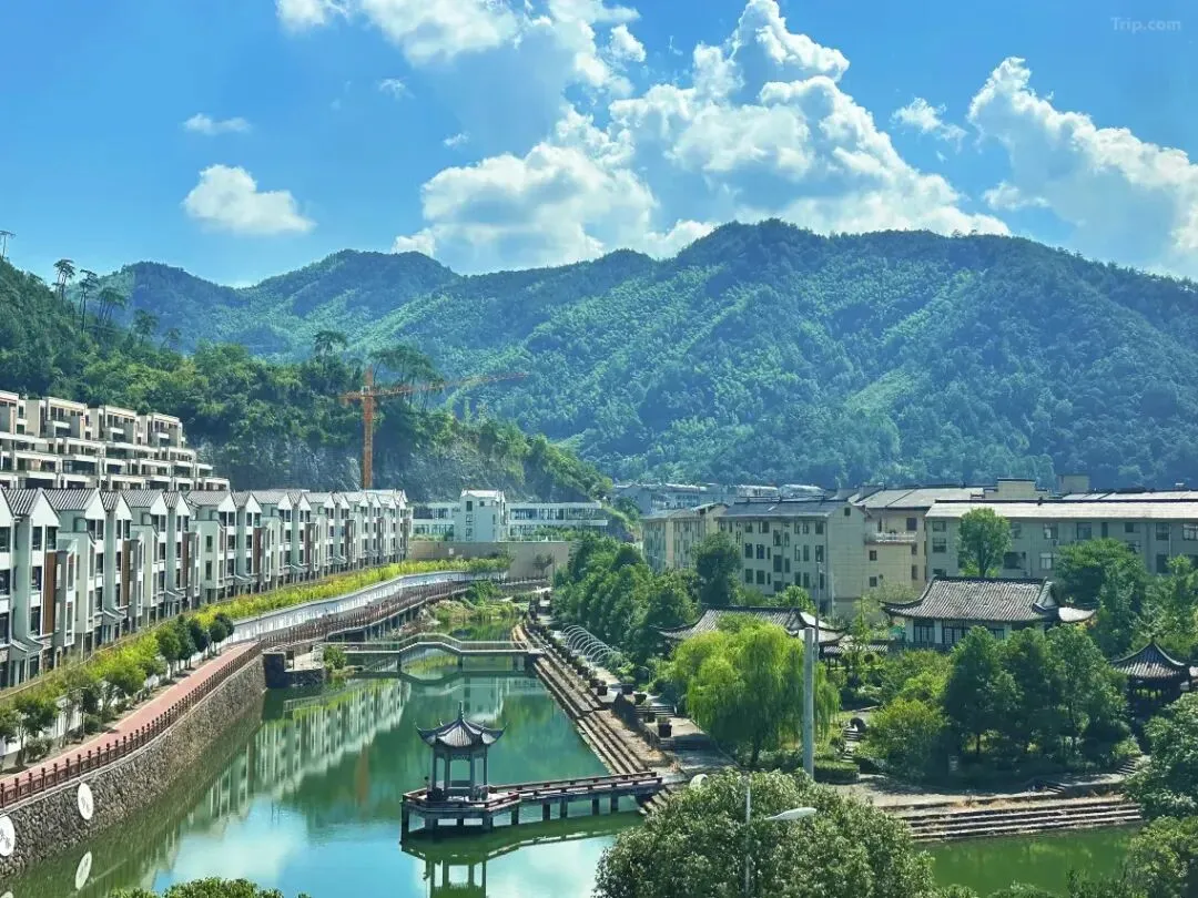 1dce4d235ca0ce9ab66f9e0f5747c62c-sz_195486