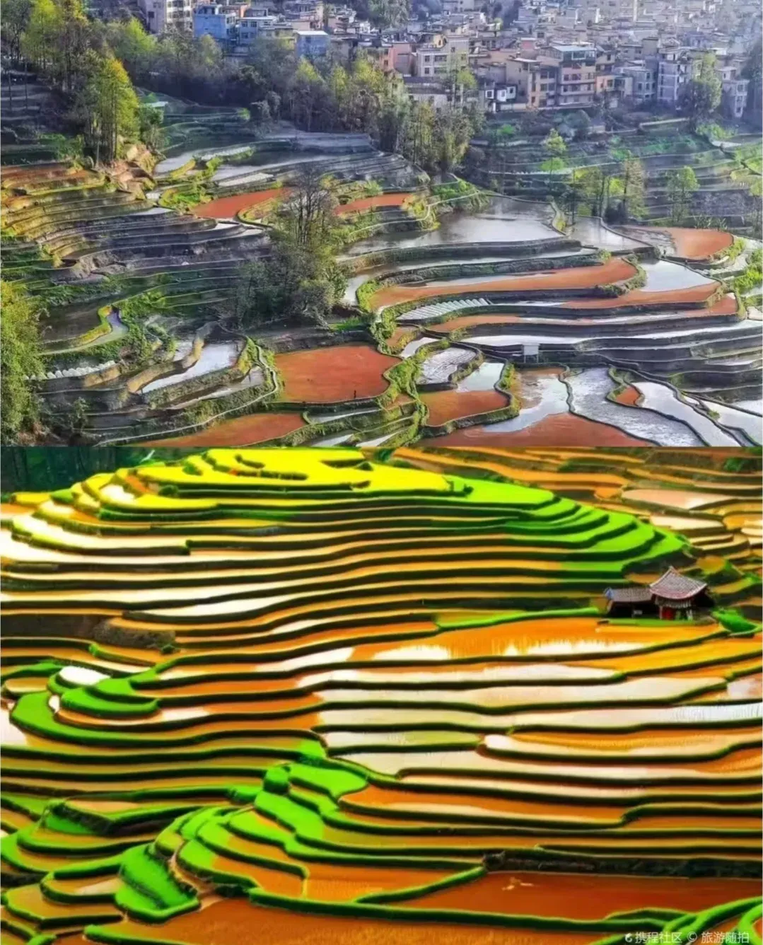 1e0ad601c6476664ec27775f7473a38d-sz_2662865-1