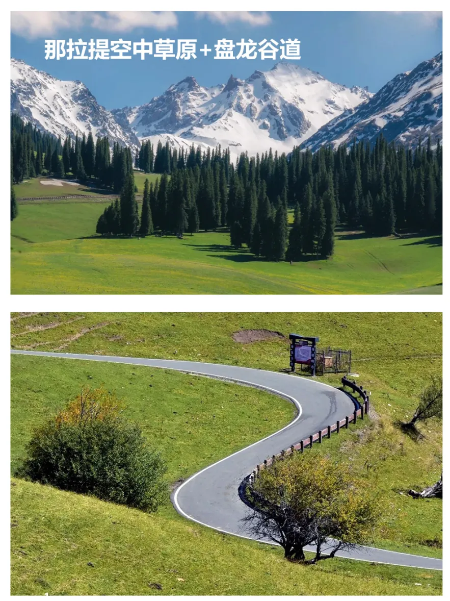 1e26f42f4289694e251416d339ea8c71-sz_2501928