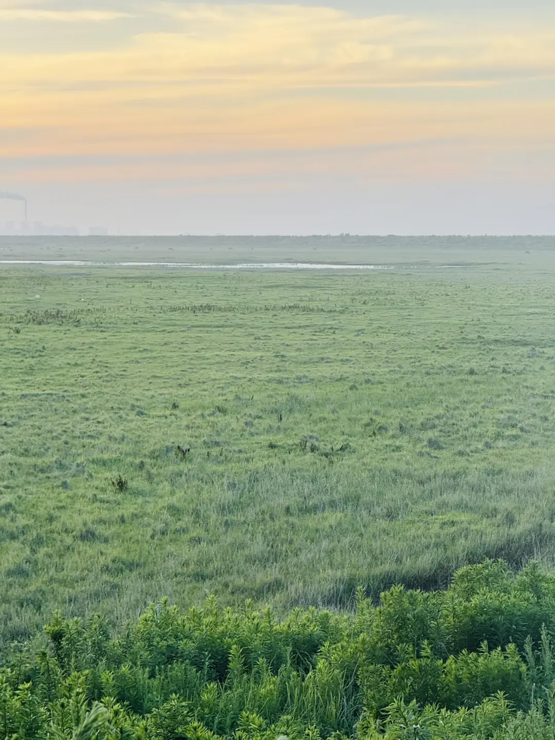 1e2824bf28fbf7e48af79fee3f6c26c0-sz_1353709-1