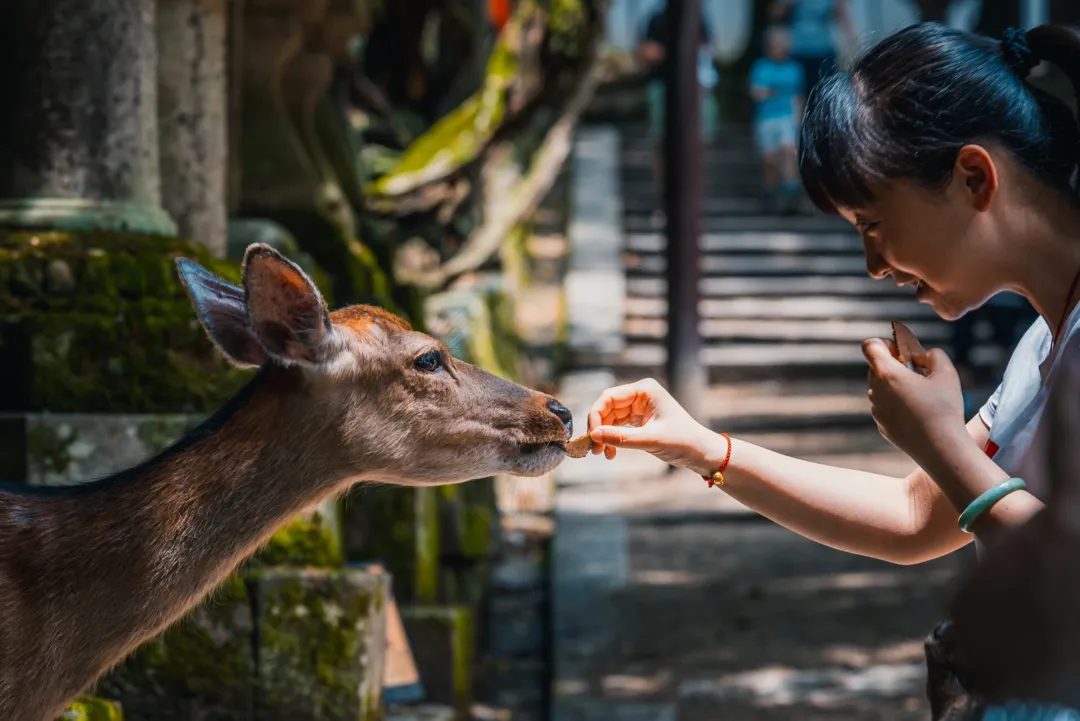 1e32d5f0346b8ee72196741ae5d16b6d-sz_324199