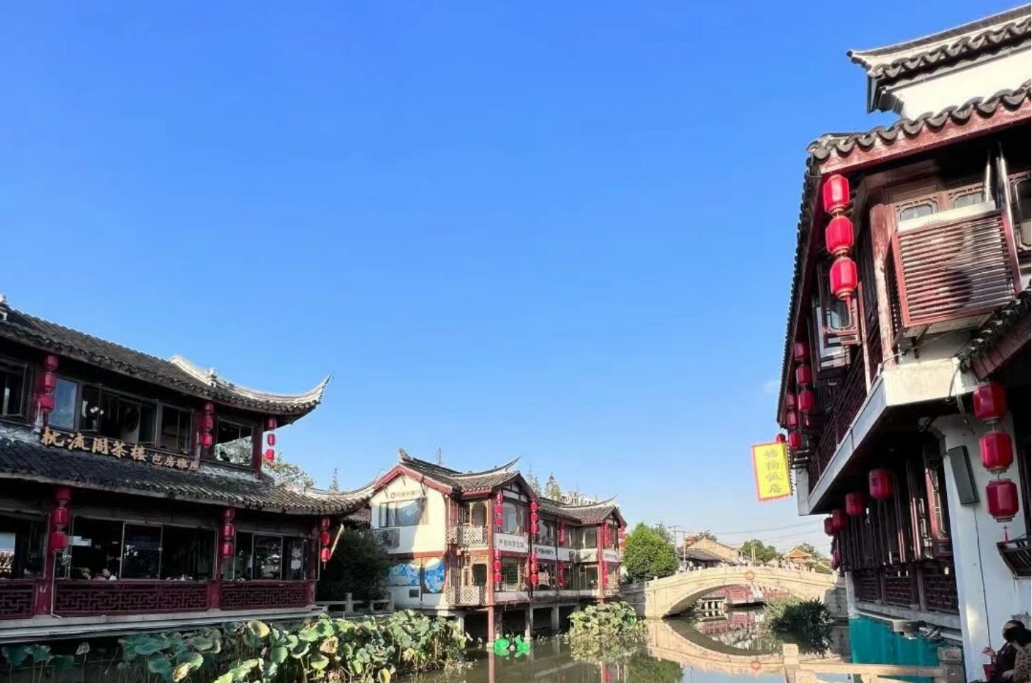 1e99f5d99fcd0e6b87a3db40e69d02a5