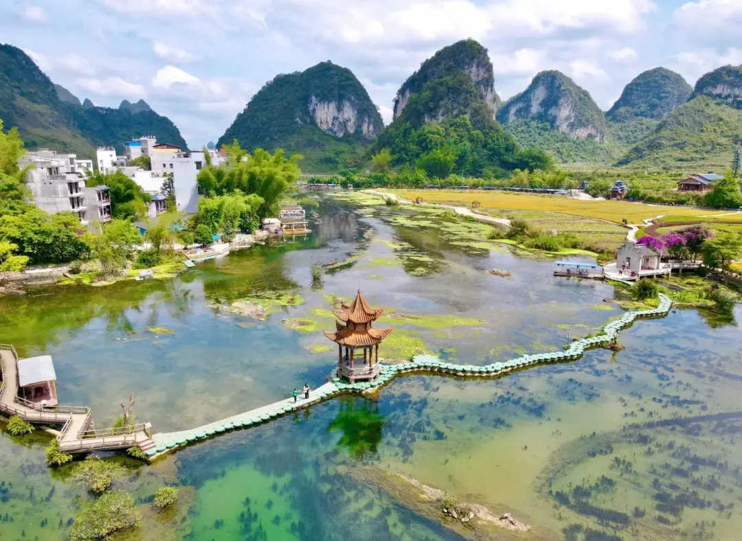 1eca808c5a98915206af9e5fed94d849-sz_277614