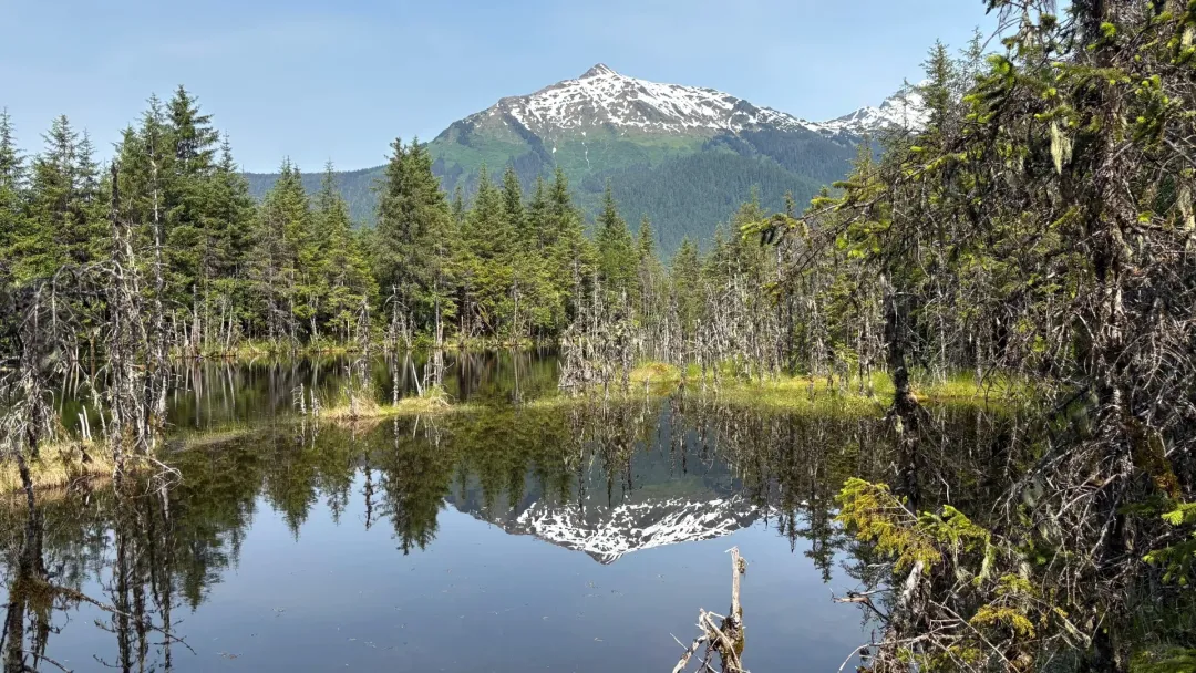 1ecdd1609174a24c5ce4563d3d6cbc21-sz_953516-1