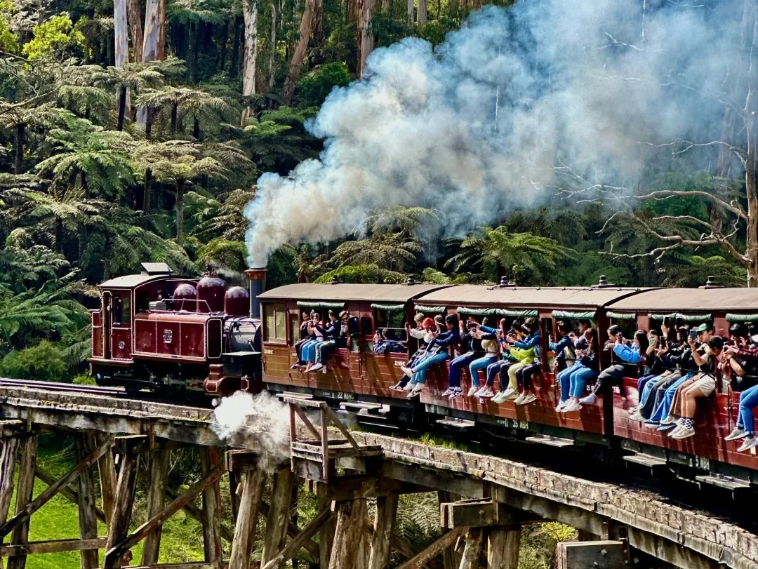 1f2fb5a43bc5fbc1879d0ca6faee1b9e-sz_723859