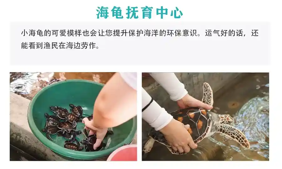 1f555c7d96ddb782252757114ba96509