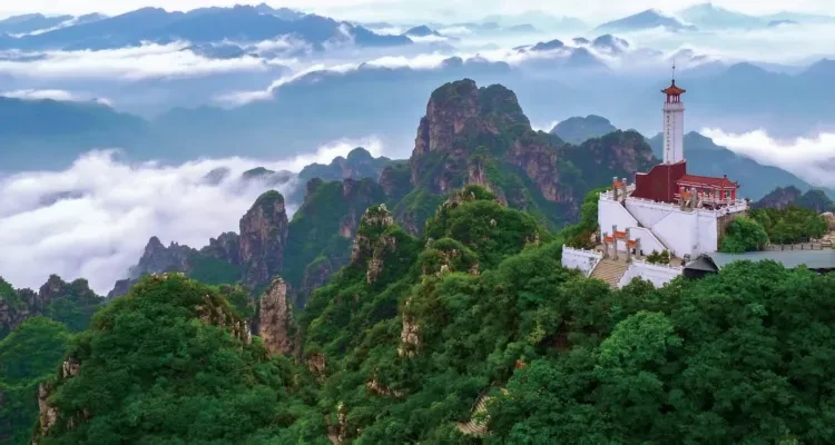 1f6036010881732d9c5bf23ccf2ae3ec-sz_965893