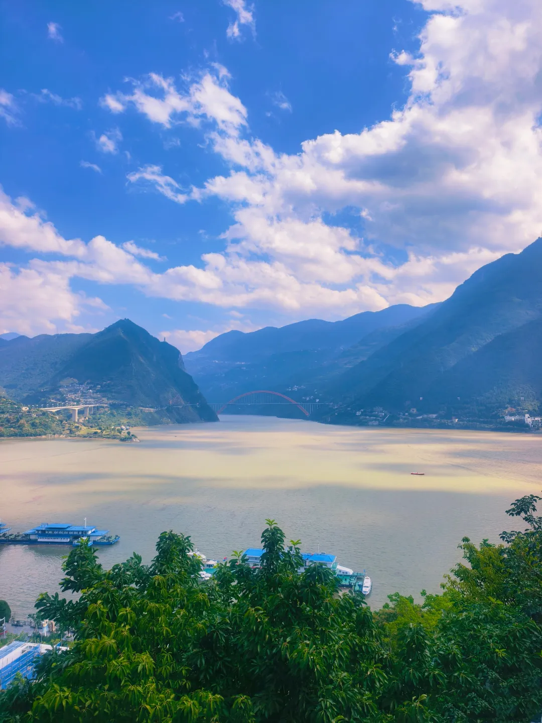 1f6af56744b15307615bb86d95a01636-sz_5563589