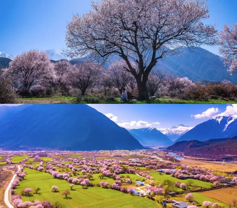 1f80b069964e88b68c02cea6a3e0ac6d-sz_598617