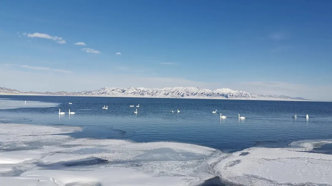 1f9e2b4fa150bc43fdbbe6650b920712-sz_331540