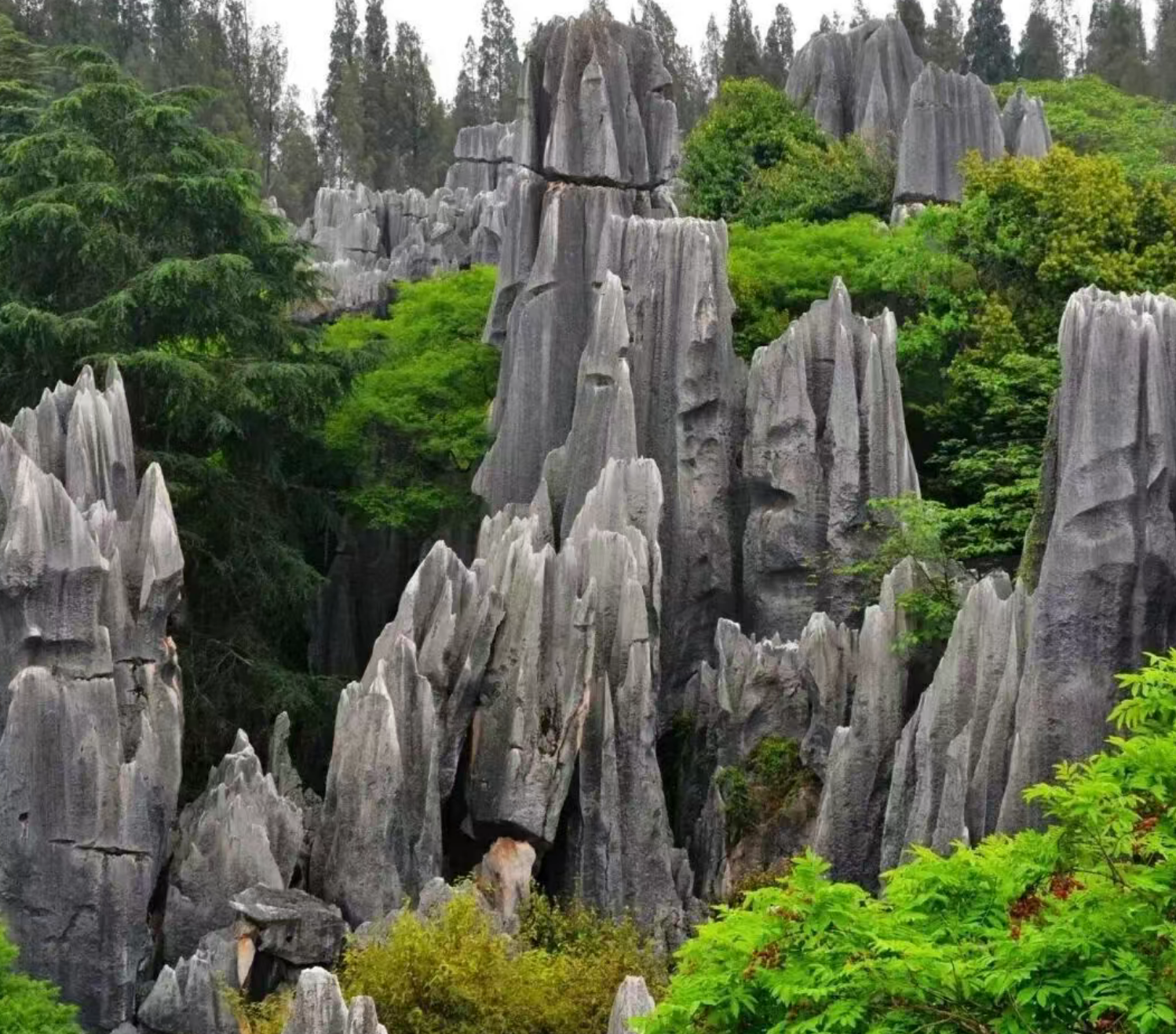 1fa4616cb43f31ffd4385bcd2930c0fb