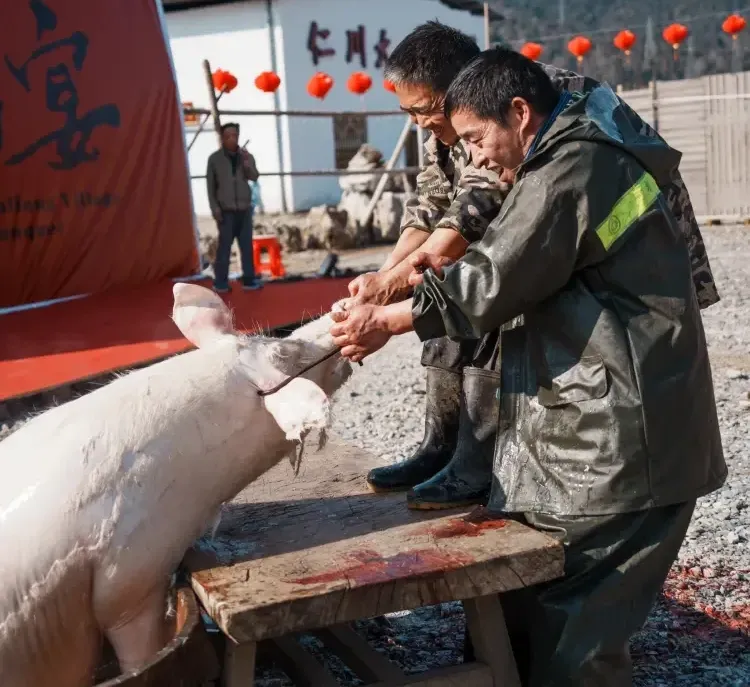 1fd0fe65fbaf672f7a81f7f84dfd1f4d-sz_795401