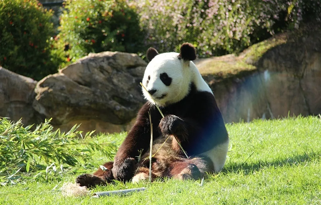 1ff08737c1b586ec83c18f22d7b8b3e4-sz_346852