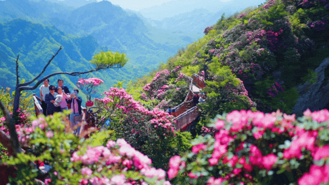 1ff300e6d1bb852c25a09987f4ade732-sz_2399613