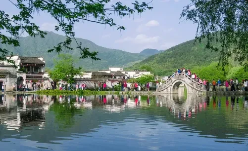 2012cf0f29ac5a31a2428a90800c6c1c-sz_385281-1