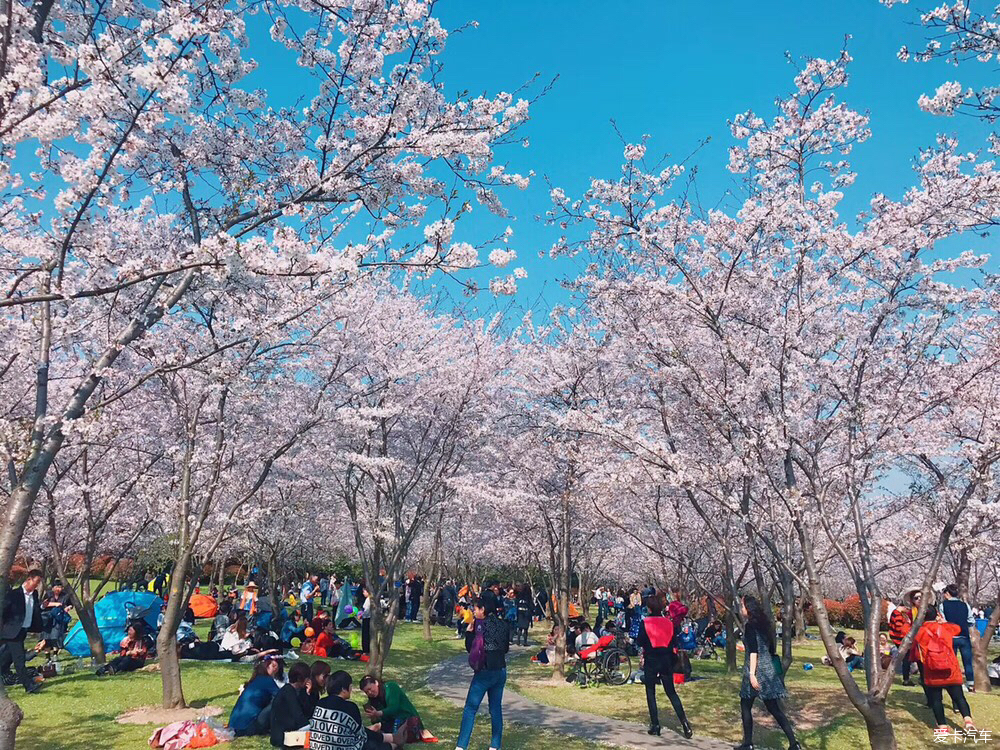 2018032720_17b985ddd905e1193e88IL26fs9bAvhs