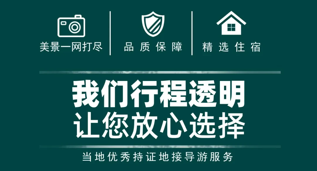 2028f1a8c6c07249f298fa521993f0fd-sz_989197