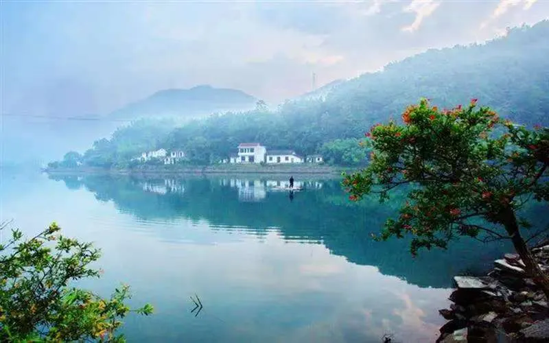 204f92a8e62c8e5cfb4a4a2fde28ddb6-sz_802450