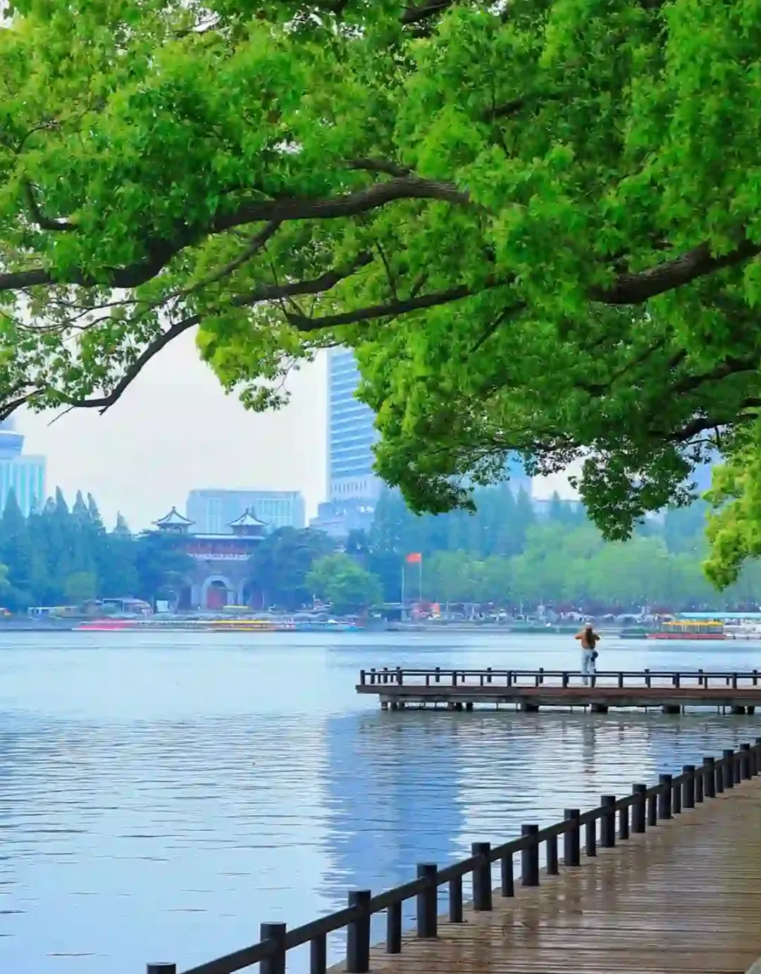 205e51f901c816c604e21a8cbc5f699f-sz_1043383 205e51f901c816c604e21a8cbc5f699f-sz_1043383