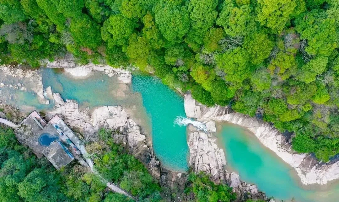 207fa84a789939c669c0f89a8c9f6bc4-sz_233857